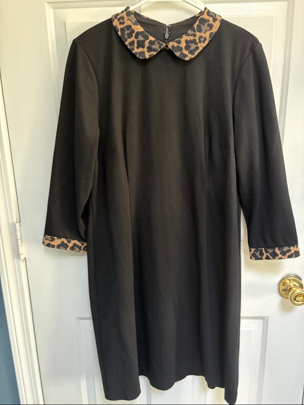 Talbots 14 Petite Black Dress with Leopard Print Collar like new